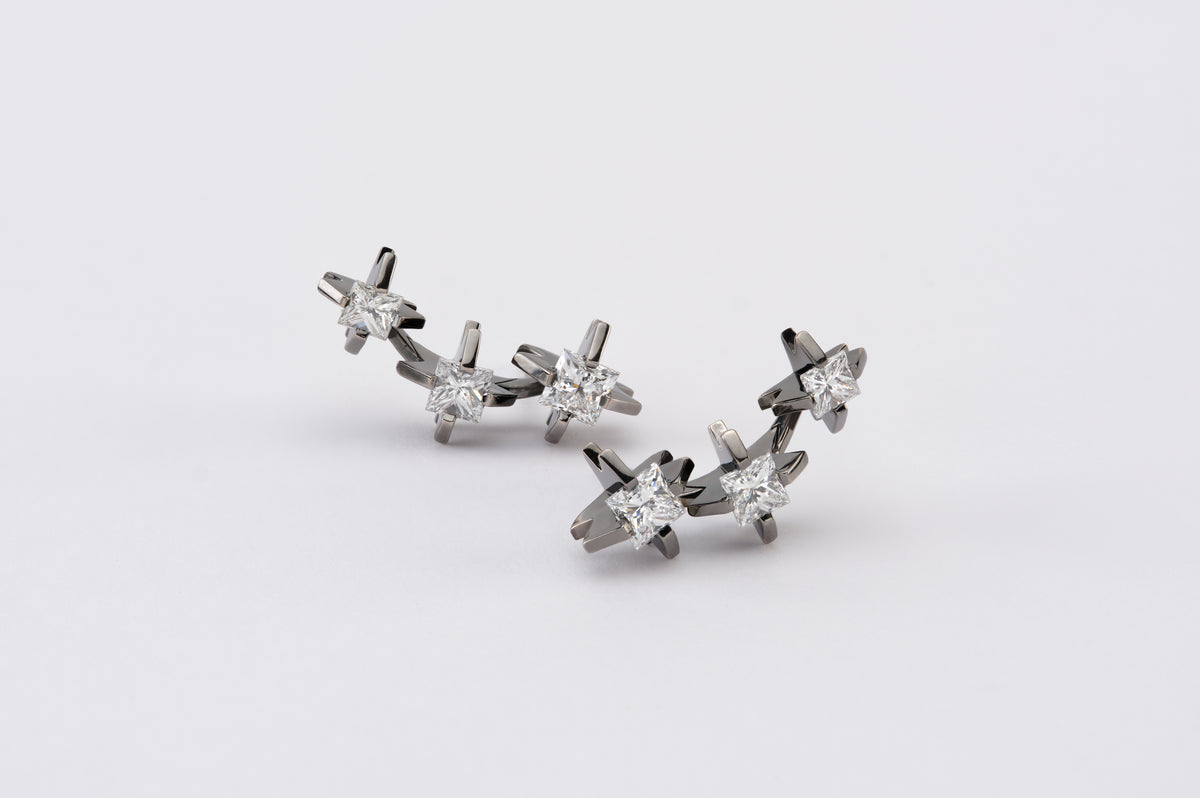 Cacti 3-stone Earclimbers