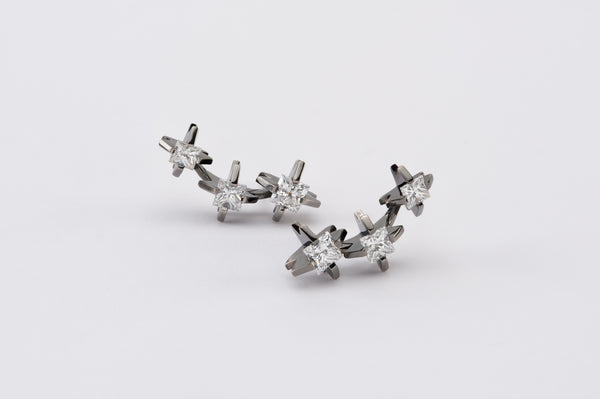 Cacti 3-stone Earclimbers