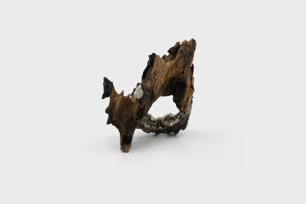 Swayambhu Ring - Studio Renn